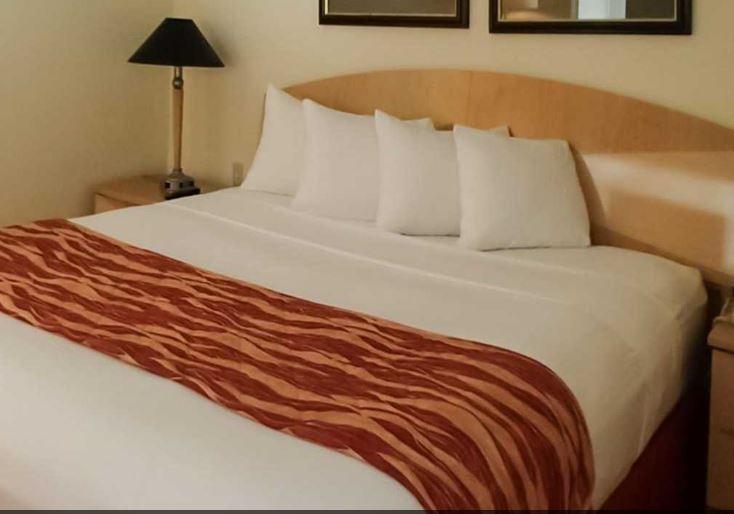 Rodeway Inn South Miami - Coral Gables Extérieur photo